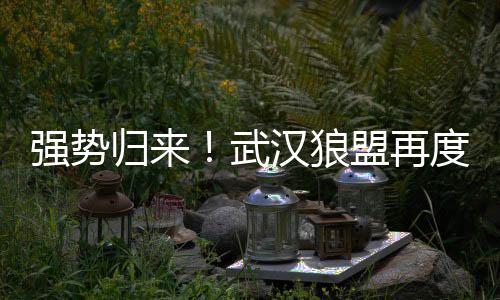 武汉夜生活论坛爆料：最豪华的别墅派对